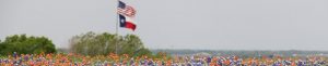 Flags and Flowers